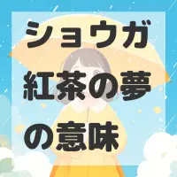 ショウガ紅茶の夢のサムネイル