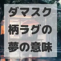 ダマスク柄ラグの夢のサムネイル画像