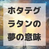 ホタテグラタンの夢のサムネイル画像