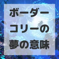 ボーダーコリーの夢のサムネイル画像