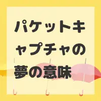 パケットキャプチャの夢のサムネイル