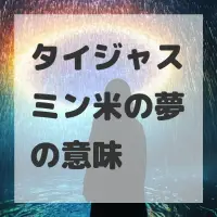 タイジャスミン米の夢のサムネイル
