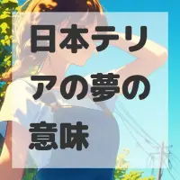 日本テリアの夢のサムネイル画像