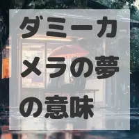 ダミーカメラの夢のサムネイル画像