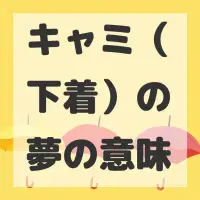 キャミ（下着）の夢のサムネイル画像