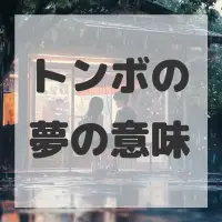 トンボの夢のサムネイル画像