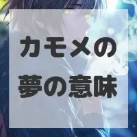 カモメの夢のサムネイル画像