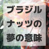 ブラジルナッツの夢のサムネイル画像