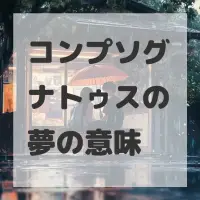 コンプソグナトゥスの夢のサムネイル画像