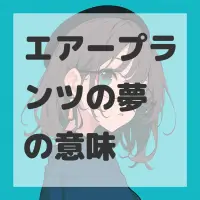 エアープランツの夢のサムネイル画像