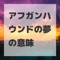 アフガンハウンドの夢のサムネイル画像