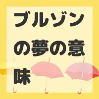 ブルゾンの夢のサムネイル