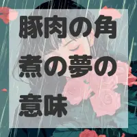 豚肉の角煮の夢のサムネイル画像