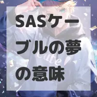 SASケーブルの夢のサムネイル画像