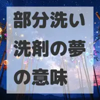 部分洗い洗剤の夢のサムネイル