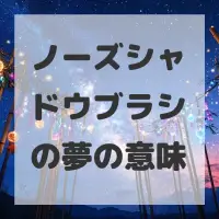 ノーズシャドウブラシの夢のサムネイル
