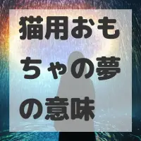 猫用おもちゃの夢のサムネイル画像