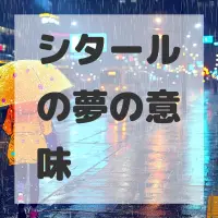 シタールの夢のサムネイル画像