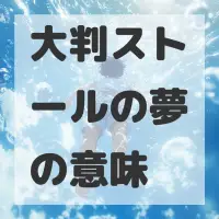 大判ストールの夢のサムネイル画像