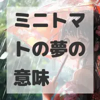 ミニトマトの夢のサムネイル画像