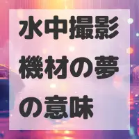 水中撮影機材の夢のサムネイル画像