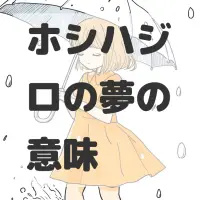 ホシハジロの夢のサムネイル画像