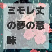 ミモレ丈の夢のサムネイル画像