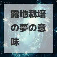 露地栽培の夢のサムネイル