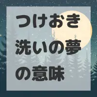 つけおき洗いの夢のサムネイル画像