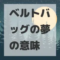 ベルトバッグの夢のサムネイル画像