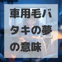 車用毛バタキの夢のサムネイル画像