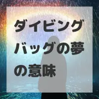 ダイビングバッグの夢のサムネイル画像