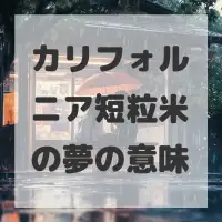 カリフォルニア短粒米の夢のサムネイル