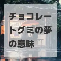 チョコレートグミの夢のサムネイル