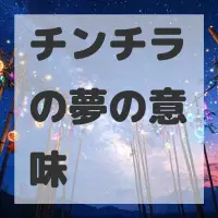 チンチラの夢のサムネイル画像