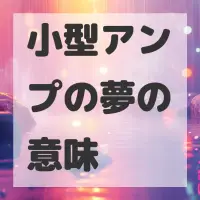 小型アンプの夢のサムネイル
