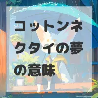 コットンネクタイの夢のサムネイル画像