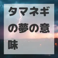 タマネギの夢のサムネイル