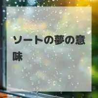 ソートの夢のサムネイル