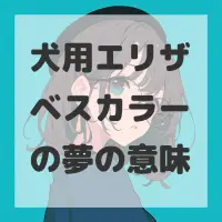 犬用エリザベスカラーの夢のサムネイル