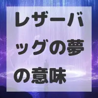 レザーバッグの夢のサムネイル画像