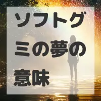 ソフトグミの夢のサムネイル