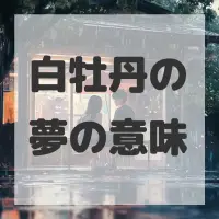 白牡丹の夢のサムネイル画像