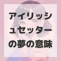 アイリッシュセッターの夢のサムネイル画像