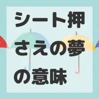 シート押さえの夢のサムネイル