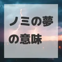 ノミの夢のサムネイル画像