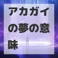 アカガイの夢のサムネイル画像