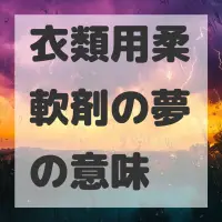 衣類用柔軟剤の夢のサムネイル画像