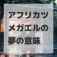 アフリカツメガエルの夢のサムネイル