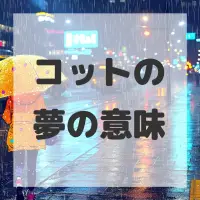 コットの夢のサムネイル